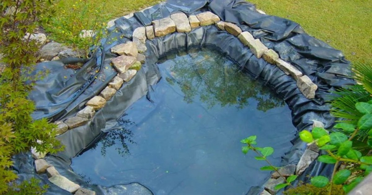 Пленка для пруда: как правильно укладывать